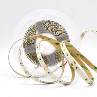 SMD2835雙色溫?zé)魩?3000K/6000K)每米120燈DC24V